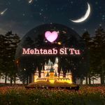 Mehtaab Si Tu