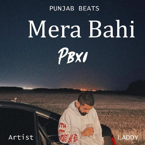 Mera Bahi