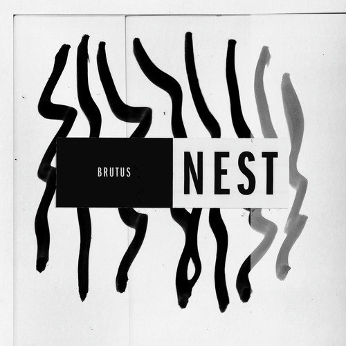 Nest_poster_image