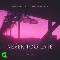 Never Too Late-XRsqVhxeA0Q