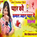 Pyar Ko Kamal Jyanu Pyar Me Khilgo