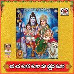 Shiva Shiva Shankara