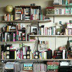 Square Piggy, Round Holly