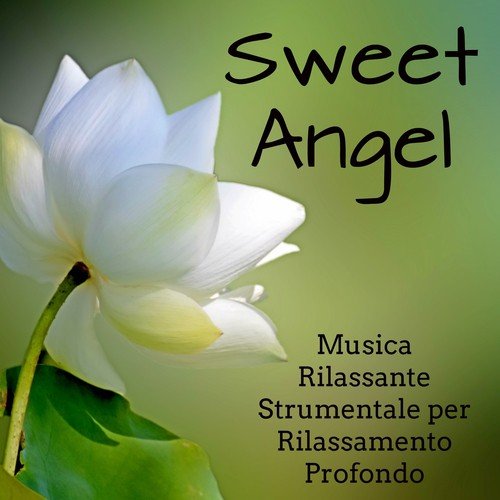 Sweet Angel - Musica Soft Rilassante Strumentale per Dormire Rilassamento Profondo Migliorare la Concentrazione ed Riequilibrare i Chakra