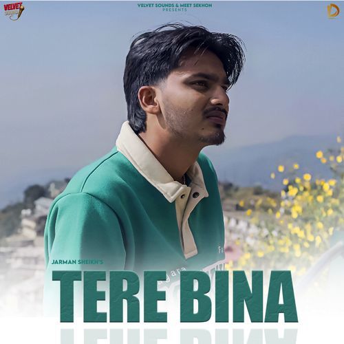 TERE BINA