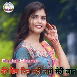 Tere Bin Dil Nahi Lage Meri Jaan (Meenawati)-JDc9Yi57ZF4