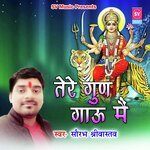 Tere Gun Gaoon Main (Hindi)