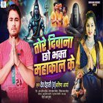 Tore Deewana Chho Bhakt Mahakal ke