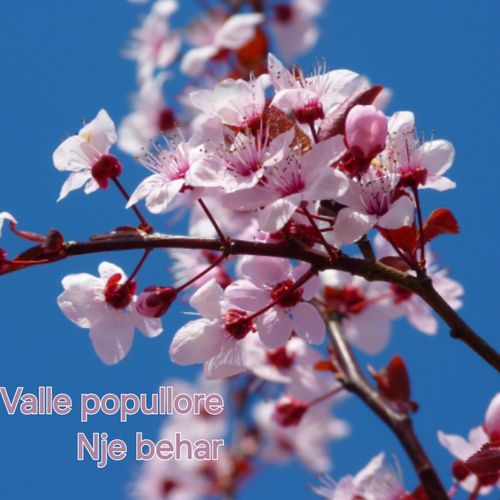 Valle popullore Nje behar