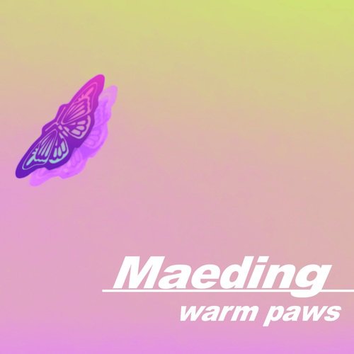 Warm Paws
