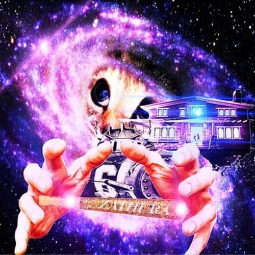 zathura cover art