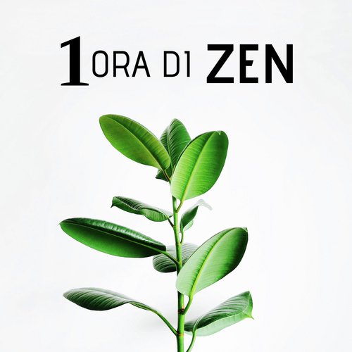 Acqua Curativa cover art