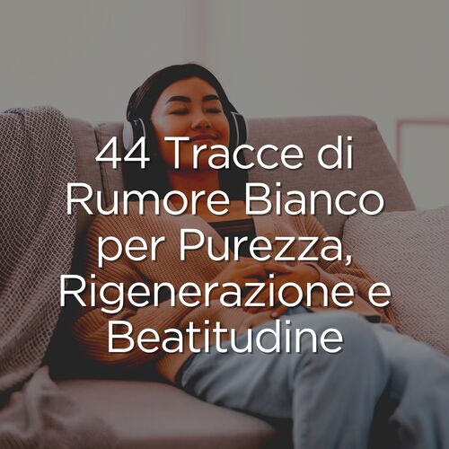 Ronzio del segnale cover art