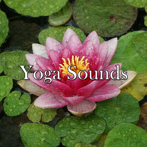 48 Ambience Tracks For Peace And Quiet