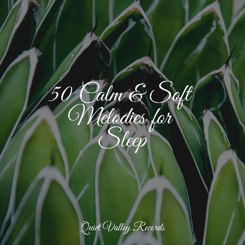 50 Calm & Soft Melodies for Sleep