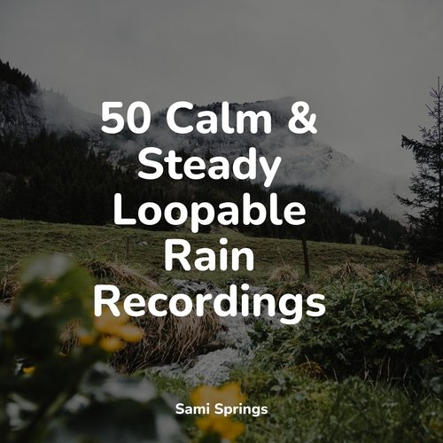 50 Calm & Steady Loopable Rain Recordings