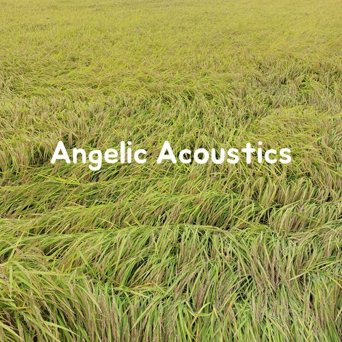 Angelic Acoustics cover art