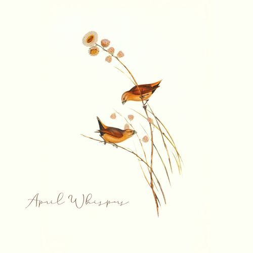 Morning Haze & Blooming Skies cover art