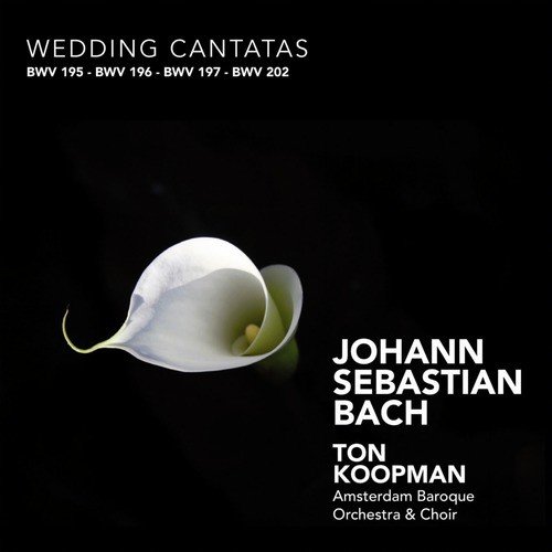 Bach: Wedding Cantatas