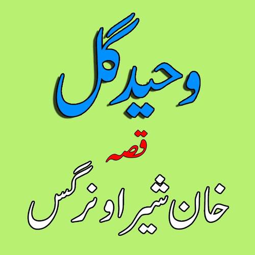Badala Khansher Nargis
