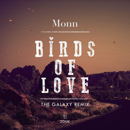 Birds Of Love (The Galaxy Remix)_poster_image