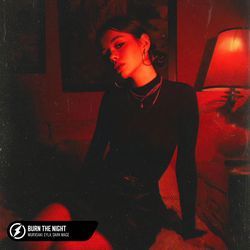 Burn The Night