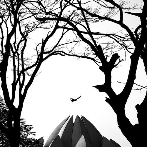 Beam cover art