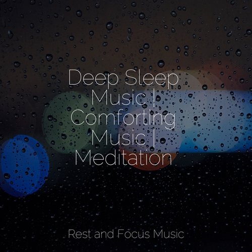 Deep Sleep Music | Comforting Music | Meditation