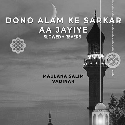 Dono Alam Ke Sarkar Aa Jayiye (Lofi-Mix)
