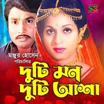 Hai Re Goru Tui Manush Hoili Na (Original Motion Picture Soundtrack) artwork
