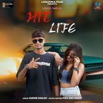 Hit Life