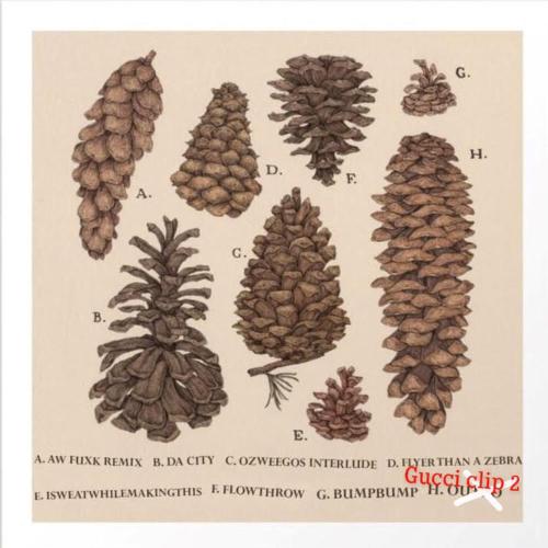 ITS RAINING PINECONES_poster_image