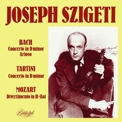 Violin Concerto in D Minor, D. 45: II. Grave cover art