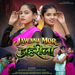 Jawani Tor Jaharila