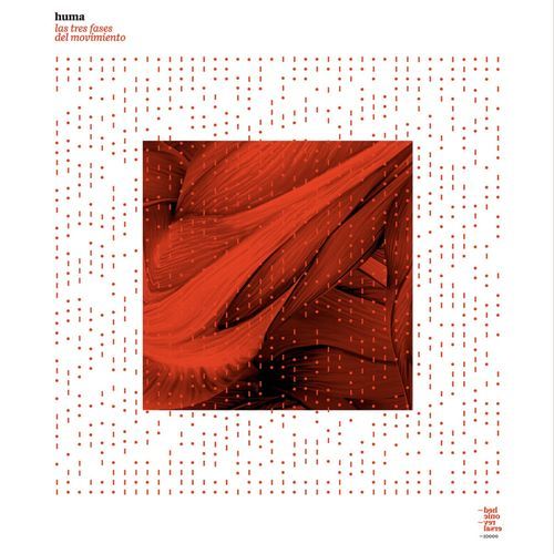 Las tres fases del movimiento