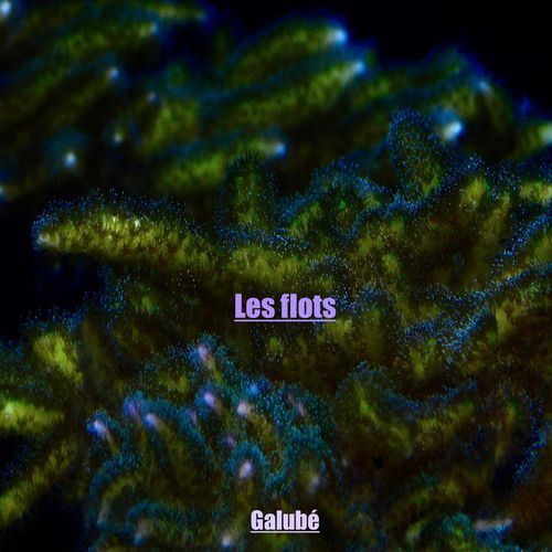 Les flots cover art