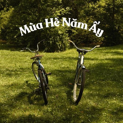 Vi Vu cover art