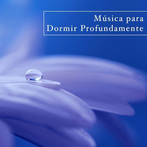 Meditación Maestro cover art
