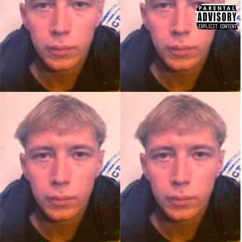 Palmer cover art