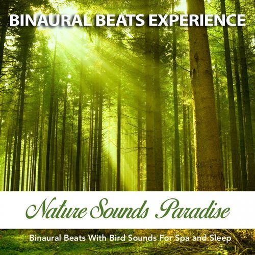 Nature Sounds Paradise cover art