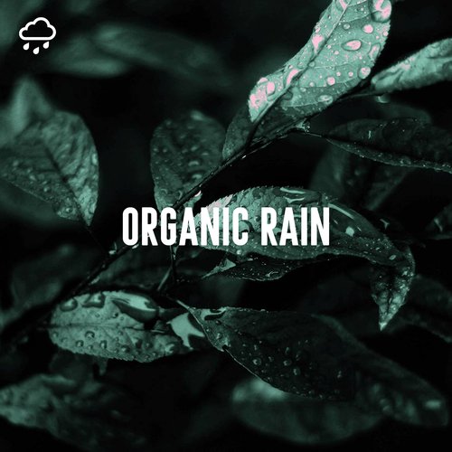 Calming River cover art