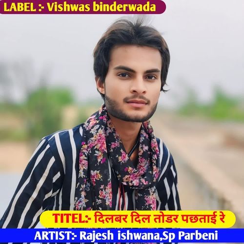 दिलबर दिल तोडर पछताई रे