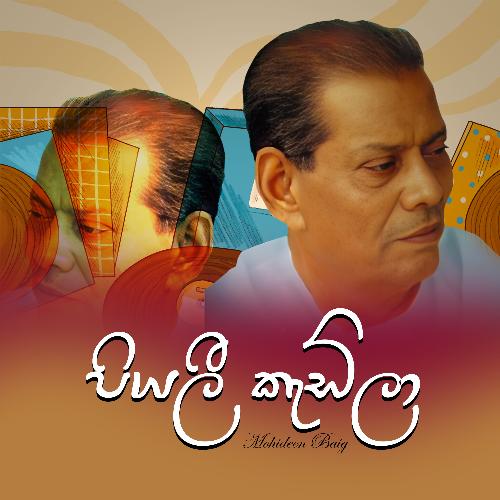 Piyali Kadeela cover art