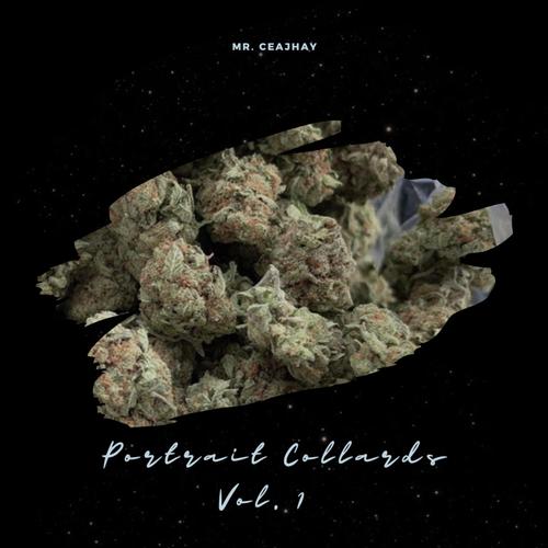 Portrait Cs #1 cover art