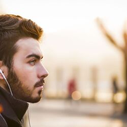 Red Tuning Fork Mushroom
