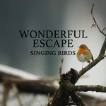 Singing Birds - Deep Forest artwork