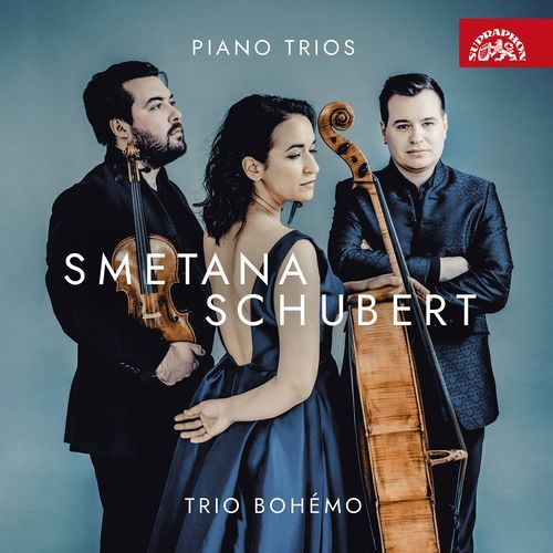 Piano Trio No. 2 in E-Flat Major, Op. 100, D. 929: II. Andante con moto in E-Flat Major, Op. 100, D. 929: II. Andante con moto