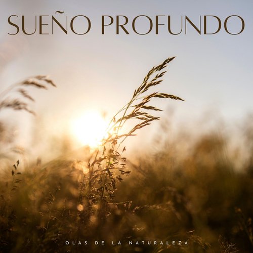 Sueño Profundo: Olas De La Naturaleza