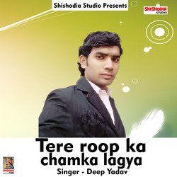 Tere roop ka chamka lagya (Haryanvi)-FiUGf0dXZnI