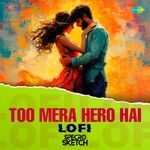 Too Mera Hero Hai - Lofi